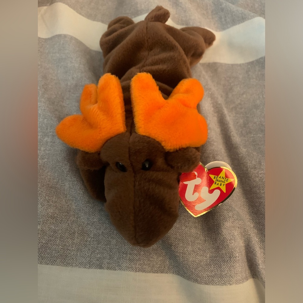 Moose beanie baby!